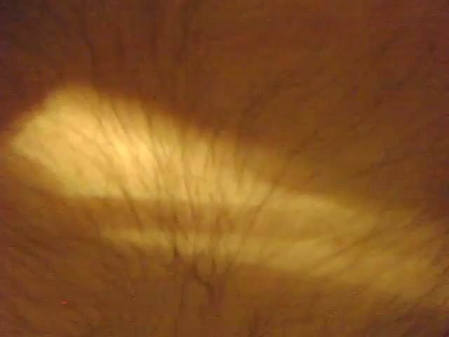 mon sexe