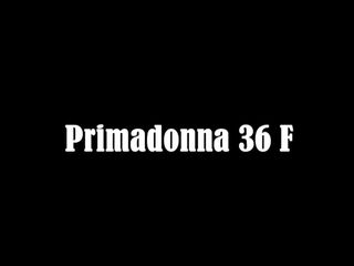 bra Primadonna 36F