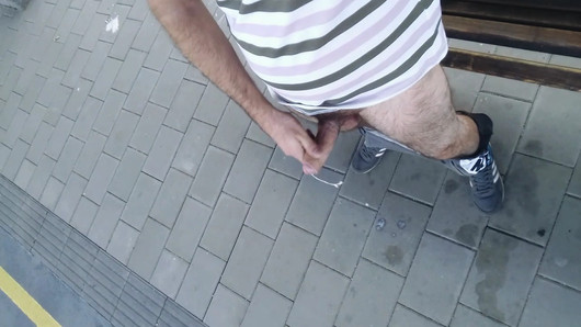 Quick train station wank & cum