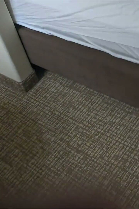 Husband Put His Wife up in the Hotel for Me to Fuck