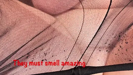 Mrs Mature Feet wearing her oldest work tights