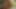 Porno yıldızı dani çalış ile sıcak ıslak kedi