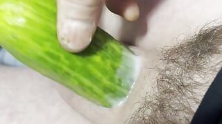 Micro penis versus one fat pickle