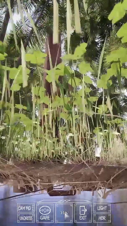 เกมเพลย์ที่สมบูรณ์ - หน้าอกท่ามกลางแสงแดด ตอน 4 - 4 คลิป 3