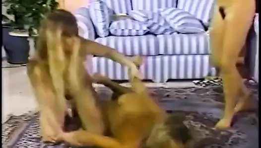 Licking clit at home with three exotic women