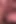 Neighbor Asks to Cum in Her Pussy During Ovulation