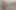 Sallanan göt extravaganza - orta yaşlı seksi kadınlar zevkin için götlerini sallıyor