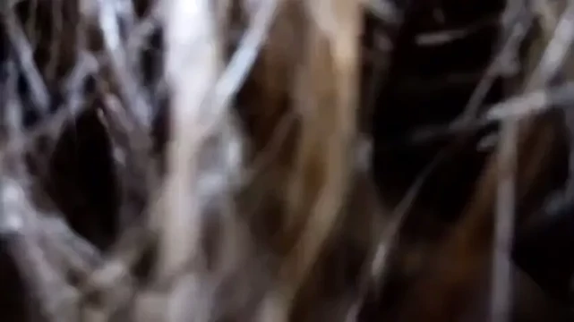 Knee in pussy