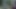 BBW Granny and Slim Teen Fucking with a Horny Dude in the Woods