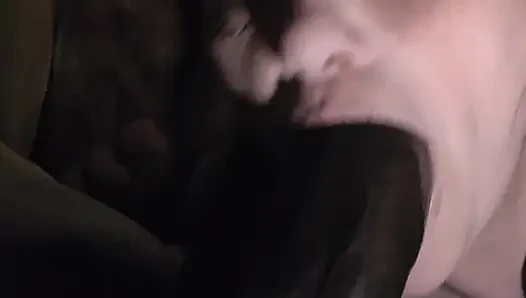 Diş Yok, Sınır Yok