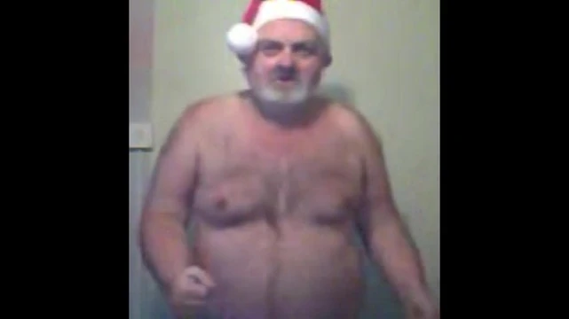 father xmas bear