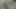 Horny Whore Dildo Fucking Pussy