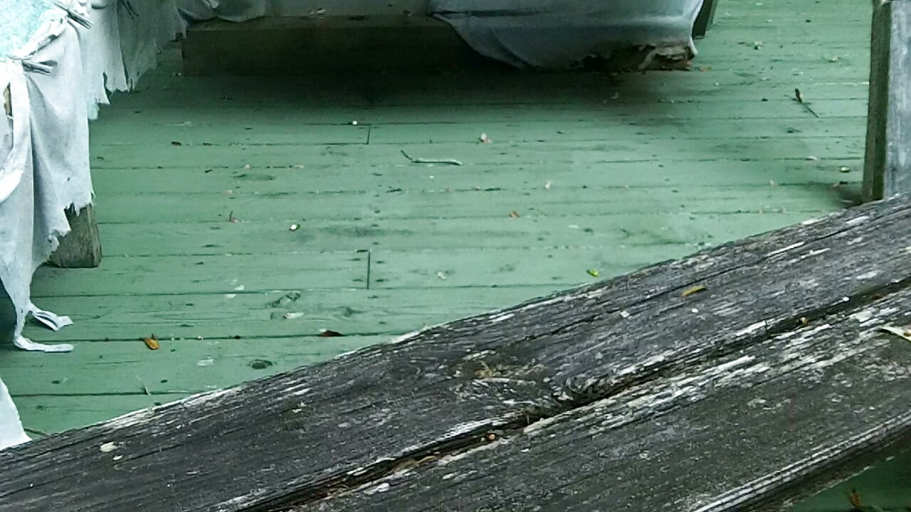 back deck stripping(by Charles J, #1 of 2)