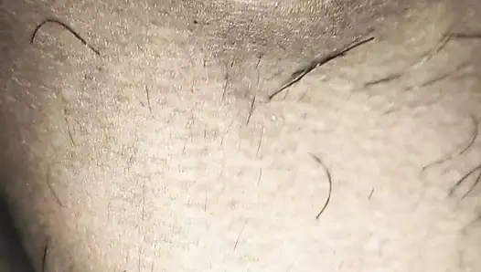 Bengalische Krawattenlecken