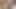 Nepali boy big cock masturbating and sperm.