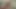 Step-daddy stretched his stepdaughter&#039;s tight asshole with his big dicks and fist to a squirt