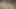 Desi College Girl Priya Gave Blowjob Her Boyfriend and Rough Sex with Him at Home, Indian Village Desi Girl First Time XXX Video