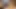 client-oriented realtor swallowed cock and spread her legs in front of a buyer to sell an apartment