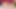 A sexy girl on the stream first licked the dildo and then fucked herself into her narrow pussy