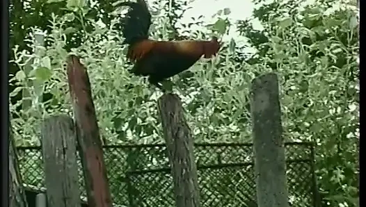 Horny cock sucking guy gets ass ravaged while fucking a hot bitch on the lawn