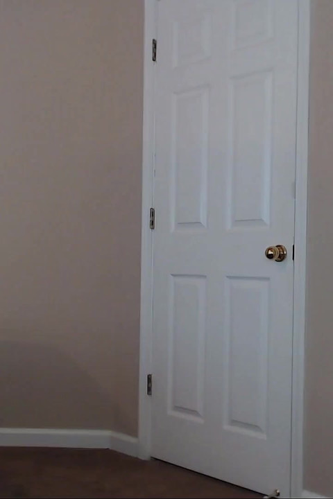 David's Strip N Ass Tease