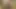 Blonde twink SubAngel fucking skinny boy Catamite Outdoor