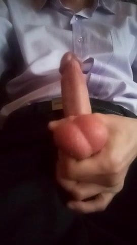 Lysy 01