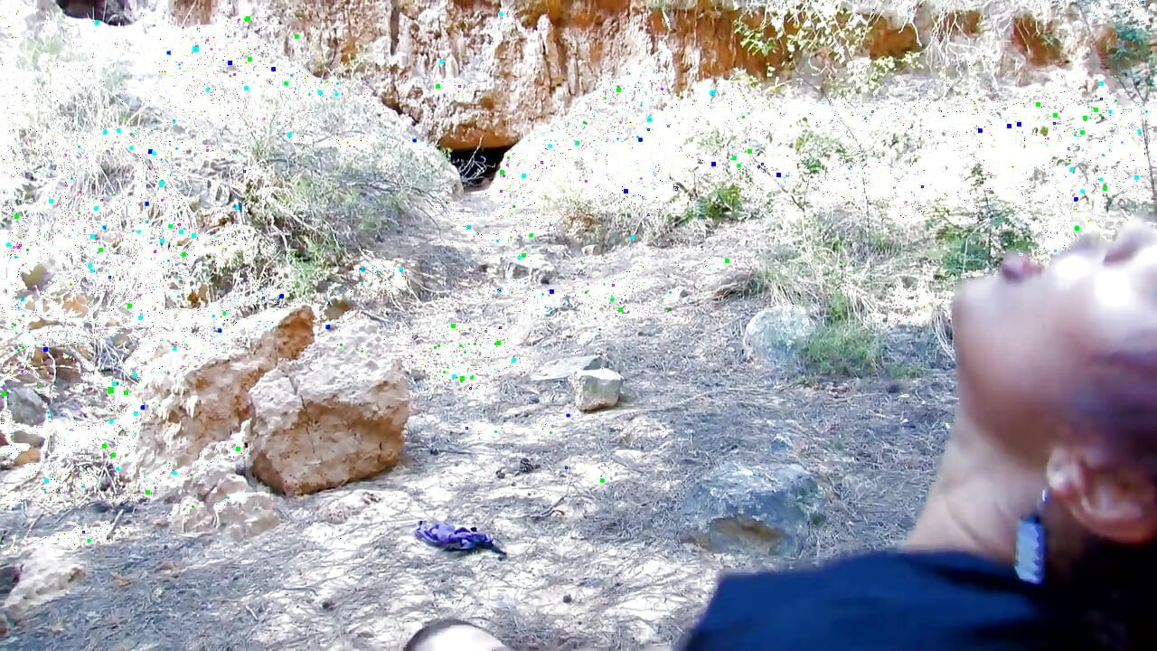 janas hot blowjob and fuck in the forest