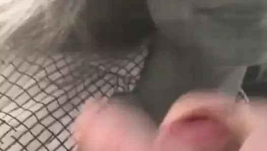 Ashleyfuller477 cumtribute