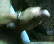 dick cock cazzo