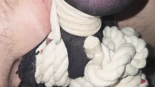 Gadis penurut ini muasin memeknya pakai stoking nilon, beberapa tali, dan ballbusting