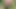 Hintçe üvey kız kardeşle açık havada seks videosu