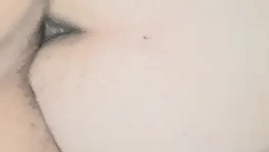 Domaltarak