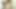 Asian dancer Nari Park enjoys a stiff dick in her hairy vagina