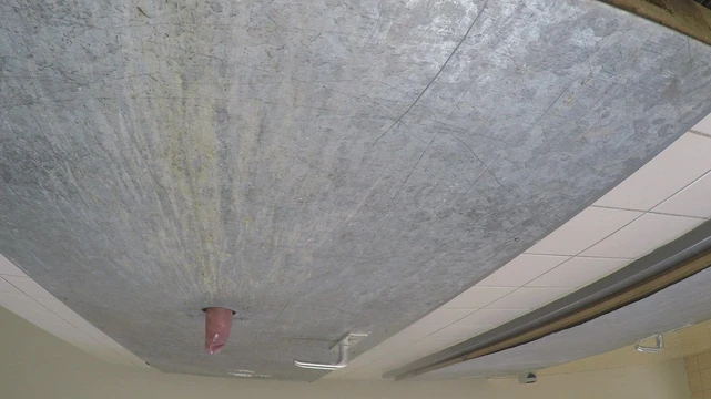 Gloryhole Amateur Cumshot