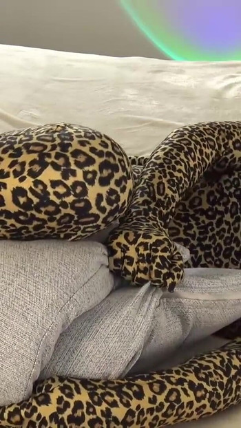 Spectacular moment from "Blondehottiek zentai catsuit pillow grinding"