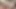 HUGE TITS AND LASCIVIOUS NIPPLES LOVES - HENTAI REACTION