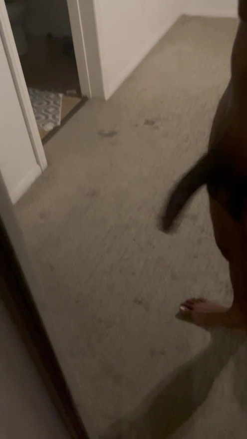 Side view jiggling cock
