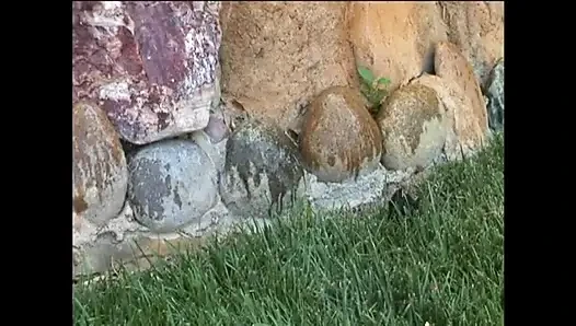 Hawaiian Honey Hotness - Episode 8