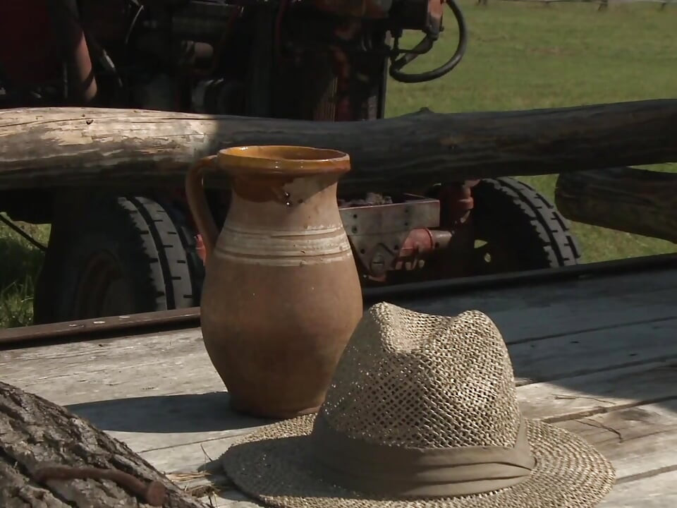 Sunset Stroll Leads to Hot Farmyard Action