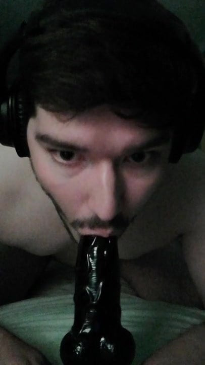 Puppy sucks a dildo