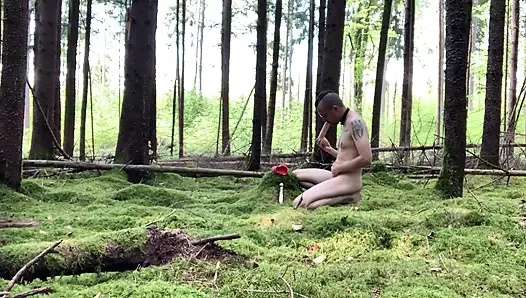 Forrest Pig