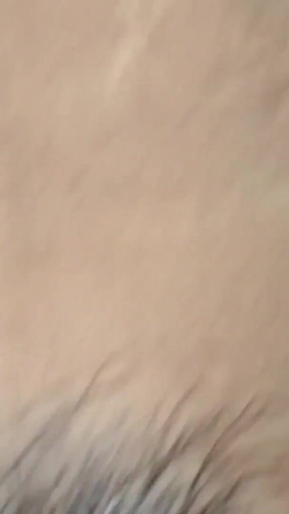 Iconic moment from "My Wife first time sex video couple"