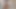 Hunt4k. piliç prag&#39;a eğlenmek için geliyor ama sıkıcı için değil