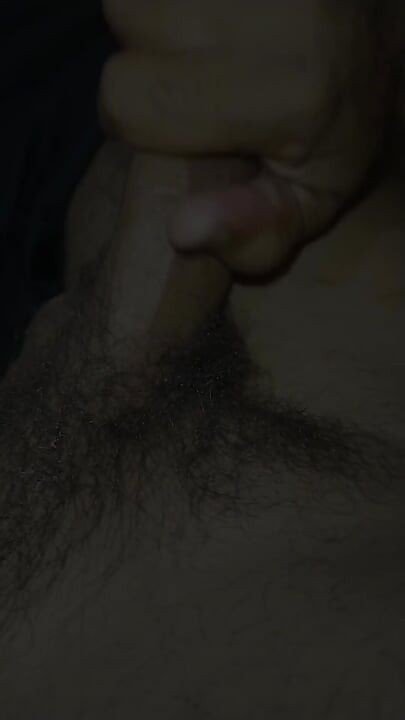 Desi Land