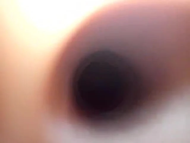 Inside the anus