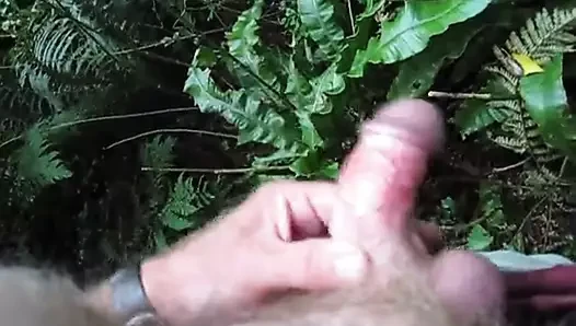 Çalılıklarda açık hava eylemi