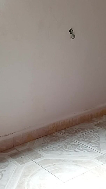 "Meksikalı kayınvalidesi tangalı misafir odasını temizliyor 5" den muhteşem an