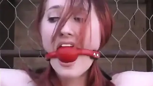 Kendra james dan torque