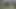 Açılış bir dev kıllı kirli ıslak olgun anneanne kedi